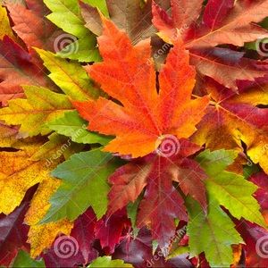 CLOSET CLEAROUT &FREE GIFT WITH EVERY PURCHASE